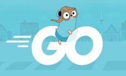 Go programming certificate