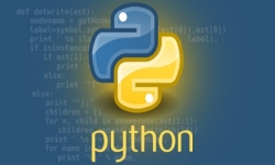 Python programming certificate